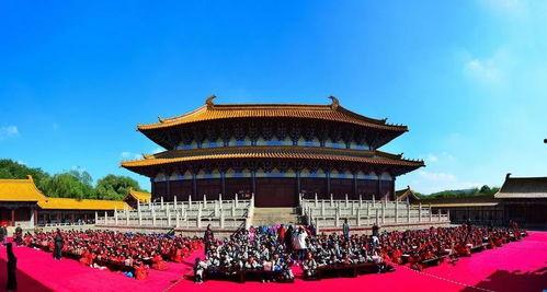 红番区秋风月影院,光影交织的梦幻空间